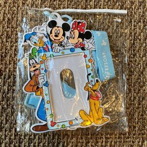 Mickey and Friends Tokyo Disney resort card holderlanyard